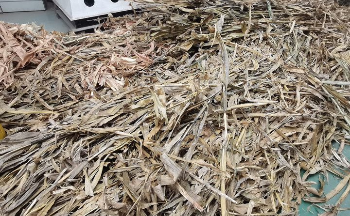 鋸末顆粒機原料玉米桿 鋸末顆粒機原料玉米桿