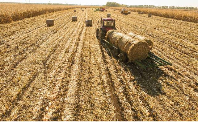 木屑顆粒機:推動鄉(xiāng)村發(fā)展的新引擎 木屑顆粒機:推動鄉(xiāng)村發(fā)展的新引擎