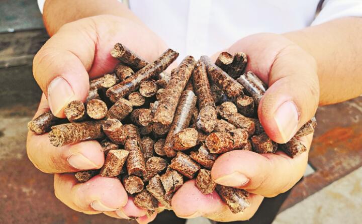 木屑顆粒機生物質顆粒 木屑顆粒機生物質顆粒