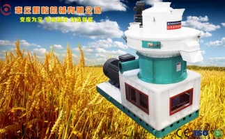 中國創(chuàng)新提速，綠色經(jīng)濟之離心高效環(huán)模顆粒機