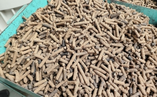 木屑顆粒機加工的顆粒燃料的環(huán)保優(yōu)勢分析